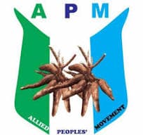 APM Logo